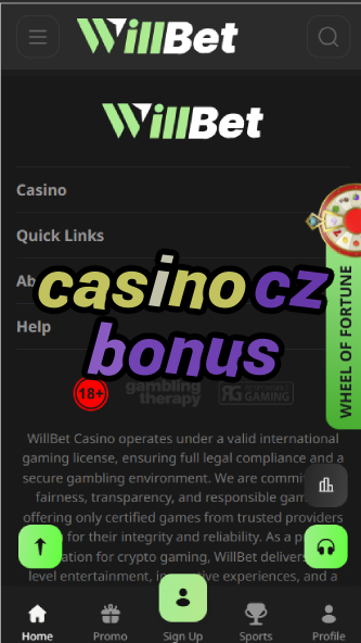 Casino CZ Bonus - Best Czech Casino Promotions-casinoorder.vip