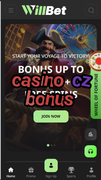 Casino CZ Bonus - Best Czech Casino Promotions-casinoorder.vip